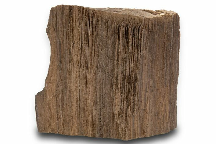 Permineralized Wood Covered In Sparkling Quartz - Germany #302179